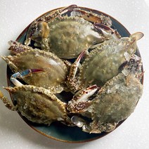 연평도 꽃게 서해안 제철 알배기 암꽃게 절단 몽당 급냉동 숫꽃게 1kg, 급냉 암꽃게 중 1kg (3~4미)