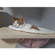 모자해먹 캣타워 반구 전용해먹, 없음, 단품