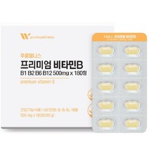 프리미엄 비타민B 비타민B복합제 비타민보조제