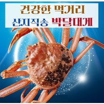 [예님푸드] 제철수산물 구룡포 산지직송 박달대게 대 2마리(생물), 단품