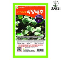 베이비 적양배추 씨앗 30g 단맛 베이비채소 종자 + 네임택, 단품
