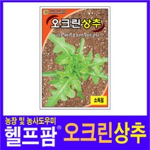 헬프팜 오크린상추 1000립 씨앗 종자 그린하트바이오