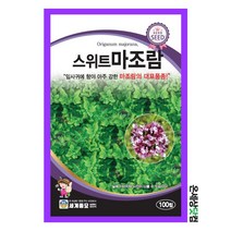 스위트마조람 100립 / 허브씨앗 허브씨 허브키우기 베란다텃밭