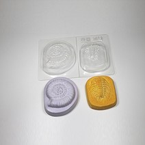 암모나이트 삼엽충 화석만들기(5인) KHY