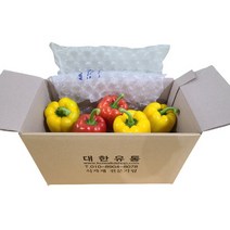 대한유통 가정용 파프리카 2kg, 프리미엄급 1.5kg (노랑)