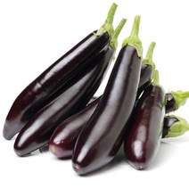 국내산 햇가지 못난이가지 상품가지 1kg 3kg [노블프레쉬], 못난이 가지