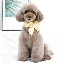 트로피칼 머플러 - 라지, 바나나(옐로우), 바나나(옐로우)