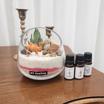 아트박스/마이힐링 디퓨저화분 사막의 낙타 테라리움 우드디퓨져, 피톤치드