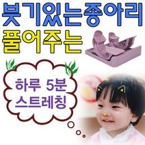 PGM*^몰하체 근육의 피로를 풀어주는 스트레칭 운동기구 발마사지 홈맛 관리 소품 헬스 학생 마소품 직장인^*췤pgm, 스트레칭 시스템, *^옵션*^KS IW 듀얼캐프
