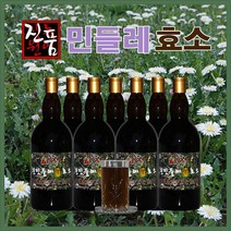 장녹원 민들레효소 1100ml, 2병