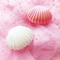조개 보관함 액세서리 주얼리 피어싱 소품 반지 보석함 악세라리 실용 인테리어 러블리 먼지 이물질 방지 귀걸이 트레이 파우치 수납함 케이스 오브제 쉘 펄 예쁜 귀여운 화이트