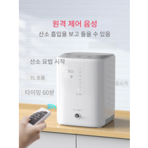 휴대용산소발생기 임산부 폐기종 휴대용 독서실 산소, A1L 표준모델