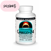 소스네추럴스 징코-24 120mg 120정, 1개, 120개