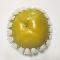 태추단감 배단감 가정용단감 정품단감, 1개, 2kg, 가정용중과(8~12과)