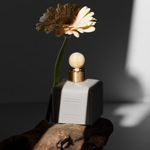 르몽도르 차량용 방향제 차량방향제 고급차량용디퓨저 자동차디퓨져 50ml 새차 신차선물, 레더50_일랑일랑