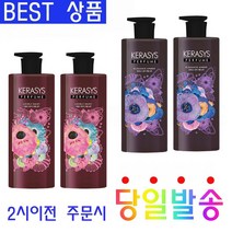 리씨홈 우리가족 두피냄새 정수리 냄새 호르몬 냄새 제거 퍼퓸 향기 케라시스 샴푸 600ML 2개, 케라시스 엘레강스앰버 600ml 2개