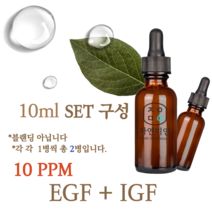에코문 EGF + IGF 10ppm 2EA세트-10ml 원액 앰플 에센스, 1개, 10ml