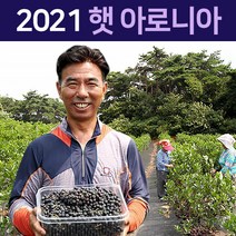 2021년 국내산 특품 아로니아 생과 블랙베리 꼭지제거 꼭지손질 급속 냉동 2.5kg 5kg 10kg, 2. 아로니아 꼭지제거 2.5kg