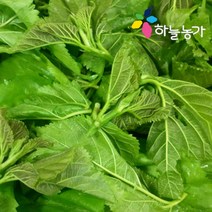 하늘농가 순수국산 뽕잎 50gX3팩 나물선물세트, 상세 설명 참조, 1