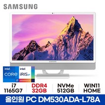삼성 올인원PC DM530ADA-L78A - 32GB 512GB WIN11 HOME 사무용 가정용 공간활용 일체형PC ED