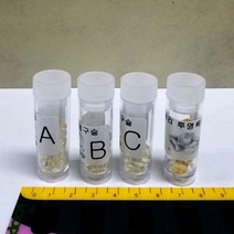 개구리알 수정토 구슬 육면체 젤리 조립키트 과학기자재 교육완구 실기시험 중등과학 초등과학교구 실험, B - 중