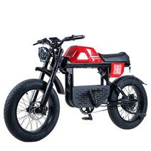 전기자전거 전기자전거렌탈 20 인치 넓은 타이어 산악 자전거 변속 레트로 크로스 컨트리 해변 오토바이, 05 Red, 01 48v20ah