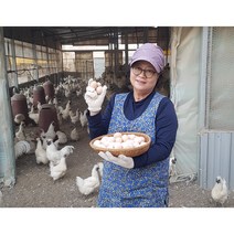 산지직송 자연방사 백봉오골계 부화용 유정란 20알, 20구, 1개