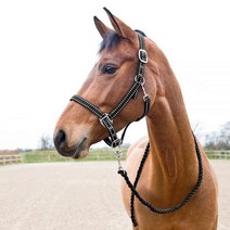 HORZE Cooper 리드 로프가 있는 홀터 블랙 웜블러드 USA 미국, Horse, Peacoat Dark Blue