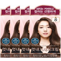 려 우아채 멋내기 새치크림 염색약 (1+1+1+1) 미쟝센 퍼펙트컬러 샤이닝에센스 헬로 새치커버 새치염색 새치용 새치전용 크림염색 쉬운염색 부분염색, 4개, 5N 자연갈색