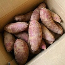 해남고구마 다모 해남 꿀고구마 9kg, 1개