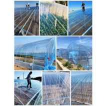 하우스비닐 고탄력비닐 김서림방지 PO필름 온실 플라스틱투명 농업 배양 야채 절연, 필름8s 9미터폭X20미터길이