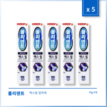 [본사정품] 4+1 폴리덴트 맥스씰 접착제 70g 5개 세트, 70g × 5개
