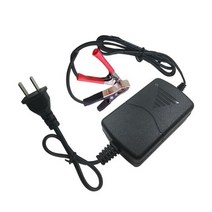 12V 휴대용 자동차 충전기 자동 관리기 보트 오토바이 배터리 충전 장치, AR