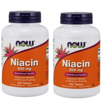 나우푸드 Now Foods Niacin 500 mg 나이신 250정 2개, 1개, 1