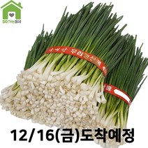 국내산 깐쪽파 쪽파 파 1단 (약1Kg)