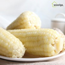 탱글탱글 냉동 삶은 찰옥수수, 백찰옥수수(14~16cm내외) 16개