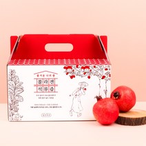 즐거운 나의 즙 콜라겐 석류즙, 25개입, 2박스