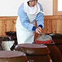 식초애 천연발효 식초 다이어트 파인애플식초 피부미용 사과 식초 건강 생강식초 500ml, 2. 피부 미용 사과 식초 1ea