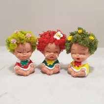 조플라워 드라이플라워 스칸디아모스 못난이인형, 그린+레드+올리브 3종 세트