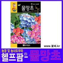 헬프팜 물망초 100립 세계종묘 꽃씨 종자 씨앗