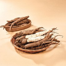 (강)횡성 햇 흙더덕 특 500g(담금주용), 단일옵션