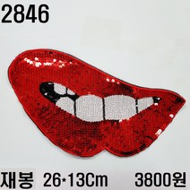 꿀템4유 와펜 패치 의류리폼 티셔츠리폼 청바지리폼 도복리폼 한복리폼 커스텀 애견 골프패션 운동복 로고 자수 재봉 열접착 2846