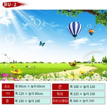 뮤럴벽지 대자연풍경패치 벽지 배경벽화 장식벽화 패치 폭120/150/180/225/300cm, 이-2, 폭 180x 높이 120cm