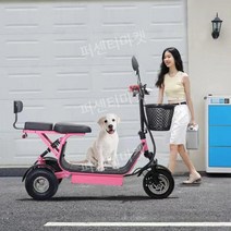 2인승 전기자전거 전동 자토바이 접이식 출퇴근 48V 팻바이크 스쿠터 10Ah 배터리, 뷰티풀파우더48V10A 리튬배터리 약32km