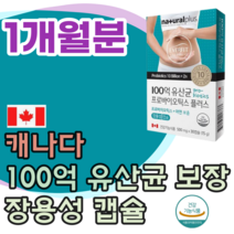 식약처 인증 캐나다 100억 CFU 유산균 프로 바이오 틱스 아연 보충 17종 혼합 장용성 코팅 캡슐 락토바실러스 불가리쿠스 아시도필러스 비피도 박테리움 롱검 브레브 파는곳 추천, 1