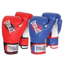 건강-드림_에버라스트 챔프 레이닝 글러브 복싱 권투용품 장갑 홈트_rjsrkdemf, 옵-션★블루L