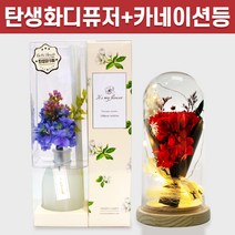 탄생화 디퓨저 선물세트 5월 탄생화 라일락(퍼플블루) + 카네이션 무드등 어버이날 부모님 선생님 엄마 장모님 생신선물 생일선물 집들이선물 실내 디퓨저 실내방향제 디퓨저, 화이트머스크, 레드, 300ml