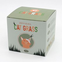 [바보사랑] 캣그라스 귀리싹 씨앗 꽃 식물 채소 모종 새싹 키우기 쉬운 DIY 키트 어린이, 상세 설명 참조, 상세 설명 참조