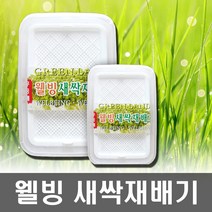 새싹재배기 대형, 1개