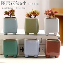 다육화분 다육이 심폴 화분 식물 미니 화분세트, 도자기, 옵션42
